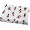 imageJay Franco Disney Wish Twin Comforter Set  5 Piece Bed Set Includes Sheet Set ampamp Pillow Covers  Super Soft Kids Bedding Features Asha Valentino ampamp StarMickey Mouse