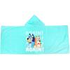 imageJay Franco Frozen 2 Mythical Wonderland Kids BathPoolBeach Hooded Towel CottonBlue  Bluey