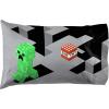 imageJay Franco Harry Potter Lettered 1 Pack Pillowcase  DoubleSided Kids Super Soft Bedding  Features Hogwarts Invitation Sealed Envelope Official Harry Potter ProductGreen  Minecraft