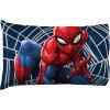 imageJay Franco Harry Potter Lettered 1 Pack Pillowcase  DoubleSided Kids Super Soft Bedding  Features Hogwarts Invitation Sealed Envelope Official Harry Potter ProductBlue  Spiderman