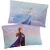 imageJay Franco Harry Potter Lettered 1 Pack Pillowcase  DoubleSided Kids Super Soft Bedding  Features Hogwarts Invitation Sealed Envelope Official Harry Potter ProductMulti  Frozen