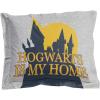imageJay Franco Harry Potter Twin Comforter Set Gray