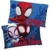 imageJay Franco Marvel Spidey and His Amazing Friends Team Spidey 1 Single Reversible Pillowcase  DoubleSided Kids Super Soft BeddingBlue  Spiderman