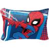 imageJay Franco Marvel Super Hero Adventures Go Spidey 2 Pack Pillowcase  DoubleSided Kids Super Soft Bedding Official Marvel Product