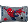 imageJay Franco Marvel Super Hero Adventures Hero Together 5 Piece Full Bed Set  Includes Comforter ampamp Sheet Set Bedding Features The Avengers  Super Soft Fade Resistant MicrofiberBlue  Spiderman
