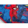 imageJay Franco Minecraft Icons Blanket  Measures 62 x 90 inches Kids Bedding Features Creeper Enderman Zombie ampamp Skeleton  Fade Resistant Super Soft Fleece Official Minecraft ProductBlue  Spiderman