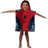 Spiderman Classic