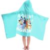 imageJay Franco Frozen 2 Mythical Wonderland Kids BathPoolBeach Hooded Towel CottonBlue  Bluey