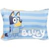 imageJay Franco Marvel Spidey and His Amazing Friends Team Spidey 1 Single Reversible Pillowcase  DoubleSided Kids Super Soft BeddingBlue  Bluey