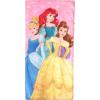 imageJay Franco Disney Toy Story Slumber Sack  Cozy ampamp Warm Kids Lightweight Slumber Bag  Featuring Woody and Buzz Lightyear Official Disney Pixar ProductMulti  Princess