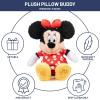 imageDisney Moana HEI HEI Fuzzy Plush Pillow Buddy  Super Soft Stuffed Pillow  20 inchesRed  Minnie Mouse