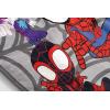 imageMinecraft Plush Throw Blanket  Measures 50 x 60 Inches  Kids Super Soft Blue Fleece Bedding Features CreeperMulti  Spidey  Friends