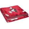 imageMinecraft Plush Throw Blanket  Measures 50 x 60 Inches  Kids Super Soft Blue Fleece Bedding Features CreeperRed  Mickey Mouse