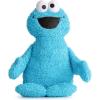 imageJay Franco Weighted Sesame Street Cookie Monster Fuzzy Plush Pillow Buddy  25 lbs Super Soft Stuffed Pillow  20 inches