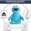 imageJay Franco Weighted Sesame Street Cookie Monster Fuzzy Plush Pillow Buddy  25 lbs Super Soft Stuffed Pillow  20 inches