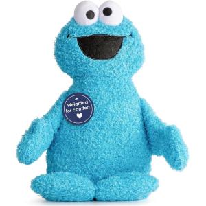 imageJay Franco Weighted Sesame Street Cookie Monster Fuzzy Plush Pillow Buddy  25 lbs Super Soft Stuffed Pillow  20 inches