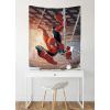 imageJay Franco Marvel Spiderman Spidey Tapestry  50 x 60 Inch Wall Hanging  Kids Room Dcor Official Marvel Product