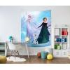 imageJay Franco Disney Frozen Snow and Ice Tapestry  50 x 60 Inch Wall Hanging  Kids Room Dcor Official Disney Product
