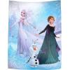 imageJay Franco Disney Frozen Snow and Ice Tapestry  60 x 80 Inch Wall Hanging  Kids Room Dcor Official Disney Product