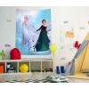 imageJay Franco Disney Frozen Snow and Ice Tapestry  60 x 80 Inch Wall Hanging  Kids Room Dcor Official Disney Product