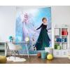 imageJay Franco Disney Frozen Snow and Ice Tapestry  60 x 80 Inch Wall Hanging  Kids Room Dcor Official Disney Product