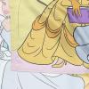 imageJay Franco Disney Princess Aim for Your Dreams Tapestry  50 x 60 Inch Wall Hanging  Kids Room Dcor Official Disney Product