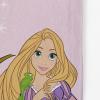 imageJay Franco Disney Princess Aim for Your Dreams Tapestry  50 x 60 Inch Wall Hanging  Kids Room Dcor Official Disney Product