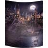 imageJay Franco Harry Potter Journey Across The Lake Wall Hanging  50 x 60 Inches  Kids Room Dcor Official Harry Potter Product