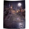 imageJay Franco Harry Potter Journey Across The Lake Wall Hanging  60 x 80 Inches  Kids Room Dcor Official Harry Potter Product