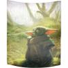 imageJay Franco Star Wars The Mandalorian The Child Tapestry  50 x 60 Inch Wall Hanging Features Baby Yoda Grogu  Kids Room Dcor Official Star Wars Product