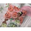 imageJay Franco Thomas ampamp Friends Rail Run 4 Piece Toddler Bed Set  Includes Comforter ampamp Sheet Set Bedding  Super Soft Fade Resistant Microfiber Official Mattel ProductPink  Tiana