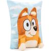 imageJay Franco Disney Lilo ampamp Stitch 3D Snuggle Pillow  Super Soft  Measures 15 Inches Official Disney ProductBlue  Bingo