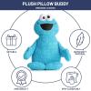 imageJay Franco Sesame Street Plush Pillow Buddy  Soft Plushie Stuffed Pillow 20 Inches Blue  Cookie Monster