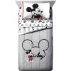 imageJay Franco Marvel Avengers Team 5 Piece Full Bed Set  Includes Comforter ampamp Sheet Set  Super Soft Fade Resistant Polyester  Official Marvel ProductGray  Mickey Mouse