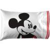 imageJay Franco Marvel Avengers Team 5 Piece Full Bed Set  Includes Comforter ampamp Sheet Set  Super Soft Fade Resistant Polyester  Official Marvel ProductGray  Mickey Mouse