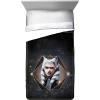 imageJay Franco Star Wars The Clone Wars Ahsoka Force Twin Comforter ampamp Sham Set  Kids Super Soft Bedding  Fade Resistant Microfiber Official Star Wars Product