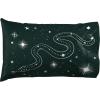 imageJay Franco Harry Potter Serpent Stars 1 Pack Pillowcase  DoubleSided Kids Super Soft Bedding  Features Hogwarts House SlytherinGreen  Slytherin