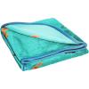 imageJay Franco Disney Encanto Sister Magic Throw Blanket  Measures 46 x 60 inches Kids Bedding Features Antonio  Fade Resistant Super Soft Fleece Official Encanto ProductTeal  Encanto