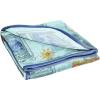 imageJay Franco Disney Encanto Sister Magic Throw Blanket  Measures 46 x 60 inches Kids Bedding Features Antonio  Fade Resistant Super Soft Fleece Official Encanto ProductTeal  Gilmore Girls