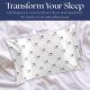 imageJay Franco Satin Pillowcase  Standard Size 20x30 Inch Silky Soft Premium Pillow Cover Pink  Strawberry ShortcakeWhite  Hello Kitty