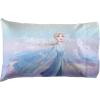 imageJay Franco Disney Frozen Pillow Buddy 3Piece BundleIncludes Pillow Buddy Pillowcases