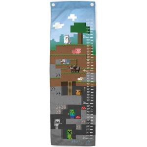 image:imageJay Franco Minecraft Growth Chart  Kids Removeable Wall Dcor Features Creeper Skeleton amp Zombie Official Minecraft Product