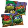 image:imageJay Franco Disney Moana Friends 1 Pack Pillowcase  DoubleSided Kids Super Soft Bedding  Features Moana HEI HEI amp Pua Official Disney ProductMulti  Tmnt