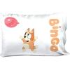 image:imageJay Franco Disney Moana Friends 1 Pack Pillowcase  DoubleSided Kids Super Soft Bedding  Features Moana HEI HEI amp Pua Official Disney ProductTeal  Bluey
