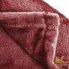 image:imageJay Franco Plush Throw Blanket  Soft amp Cozy Fleece Throw for Bedroom amp Couch Dcor Official Licensed Product Blue  Gilmore Girls 40x50  Travel BlanketRed  Harry Potter
