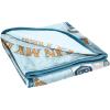 image:imageJay Franco Plush Throw Blanket  Soft amp Cozy Fleece Throw for Bedroom amp Couch Dcor Official Licensed Product Blue  Gilmore Girls 40x50  Travel BlanketBlue  Gilmore Girls